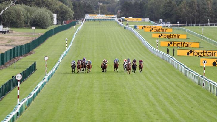 Haydock Betfair 